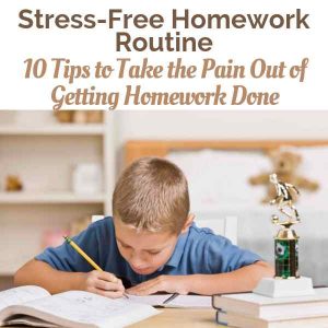 Stress-free homework routines a homework solution to take the pain out of nightly homework