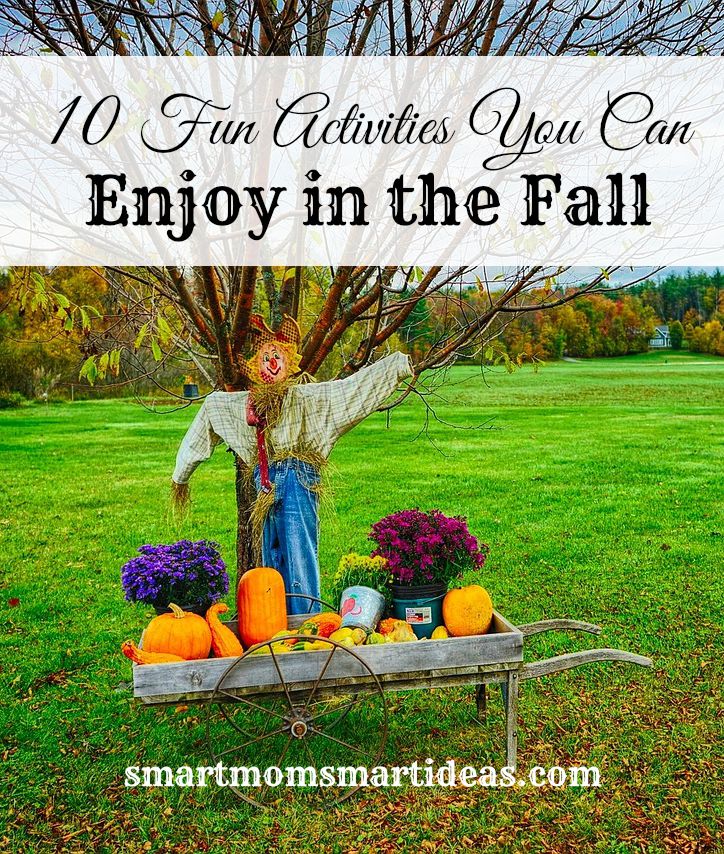 10 Fun Fall Activities. The changing of seasons from summer to fall brings fun activities. Enjoy these special fall activities with your family and friends.