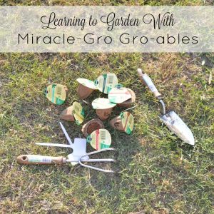 Learn to garden with Miracle-gro Gro-ables