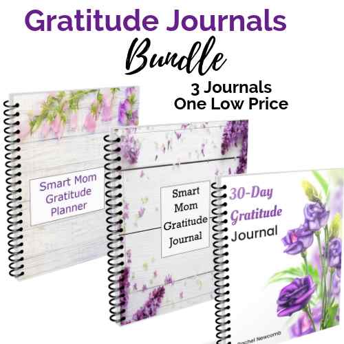 Gratitude journal bunde