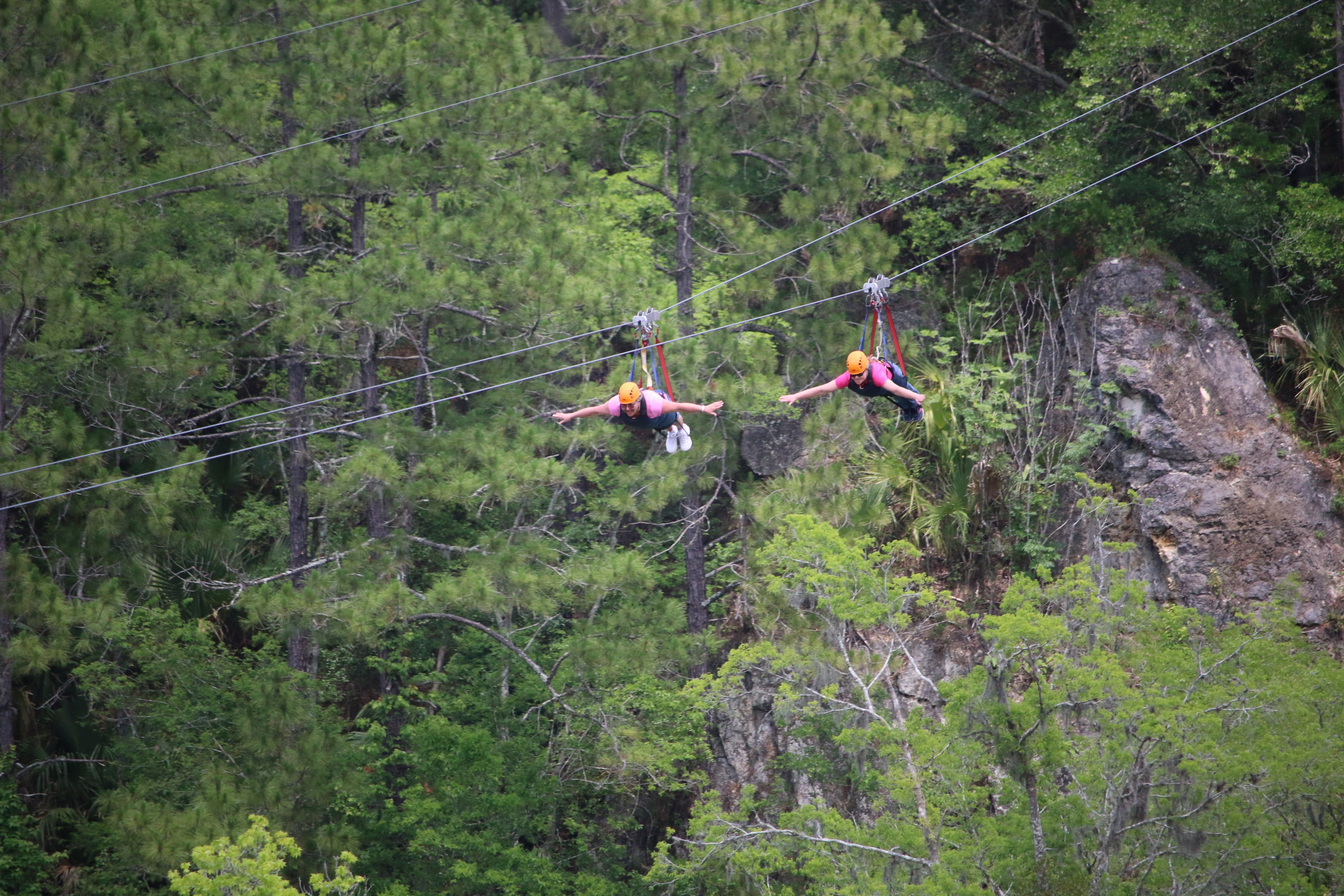 ziplining, outdoor activities, back to nature, Florida fun