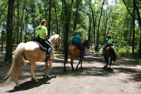 Horseback riding, spring activities, family fun