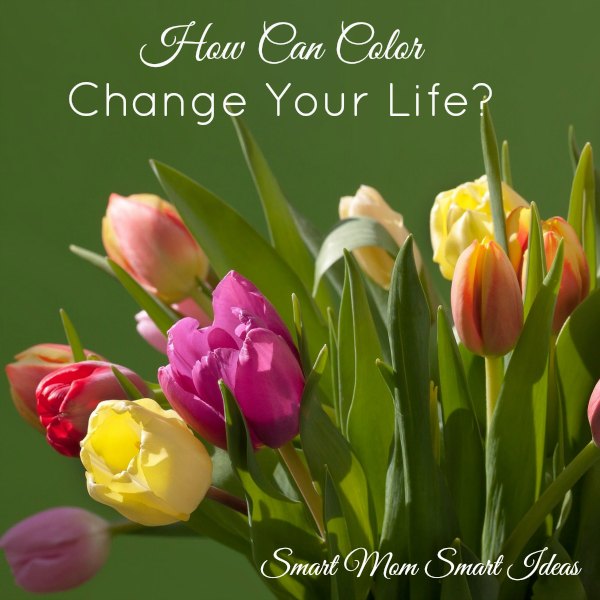 Change Your Home Change Your Life with Color