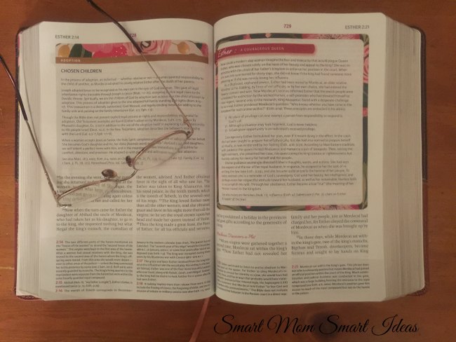 The woman's study bible | study bible for women
