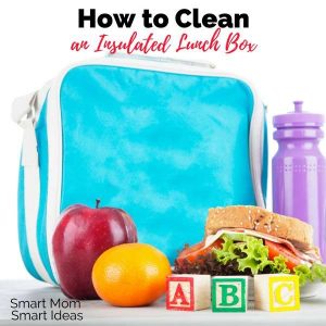 How to clean an insulated lunch box | how to clean a lunch box | lunch box cleaning tips