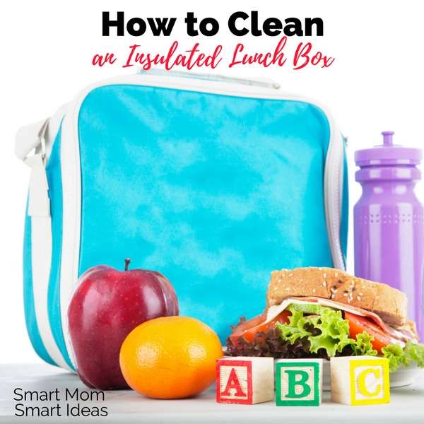 Easy to Clean Lunch Boxes for Kids