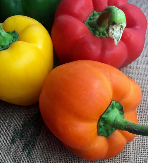 Chicken fajita wraps | bell peppers | chicken recipes