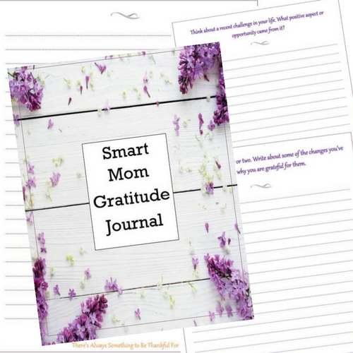 The Smart Mom Gratitude Journal 